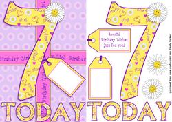 Seven Today A5 Daisies