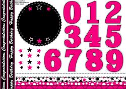 All Ages Birthday Rosette in Black and Hot Pink