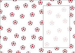 Red Football A5 Insert