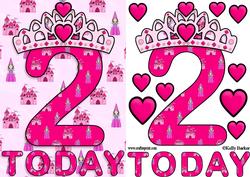 Two Today Princess A5