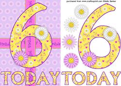 Six Today Birthday Daisies A5 Decoupage