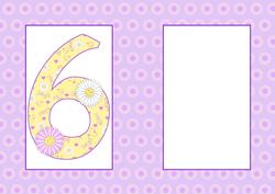 Six Today Birthday Daisies A5 Insert