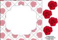 Red Rose 8x8 Insert