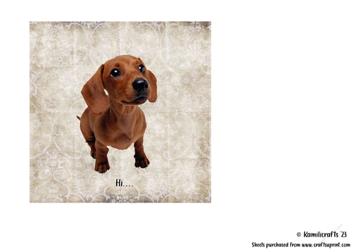 No 1 in Animal Series