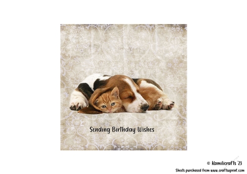 3rd in animal series dog and kitten
