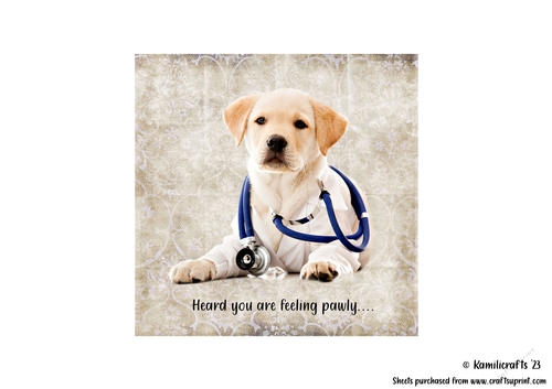 4th in animal series the Lab doctor