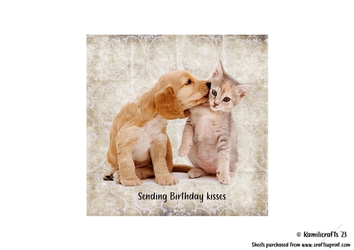 5th in animal series puppy and kitten