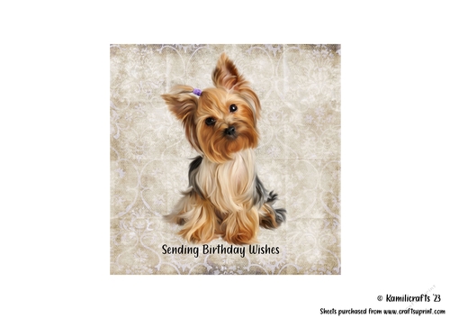 6th in animal series the Yorkie