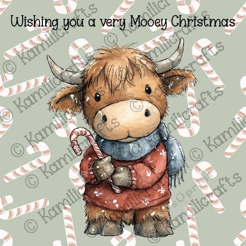 Highland Coo Christmas 2