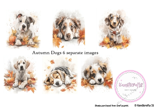 6 Autumn Dogs