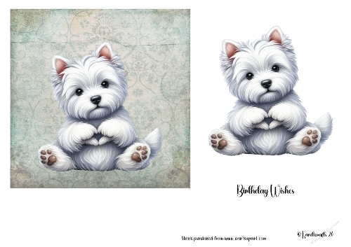 Cute Westie making heart shape with paws