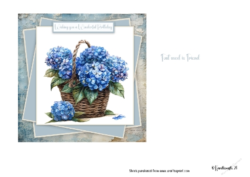 Hydrangea