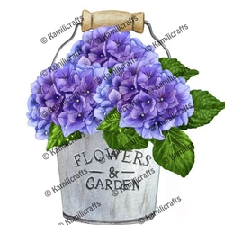 Hydrangeas in a bucket