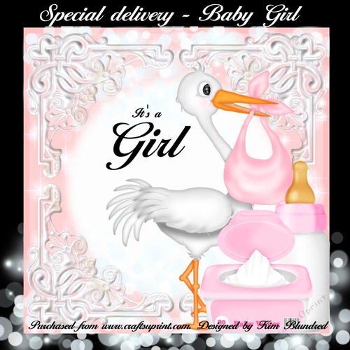 Special Delivery - Baby Girl