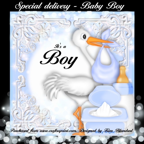 Special Delivery - Baby Boy