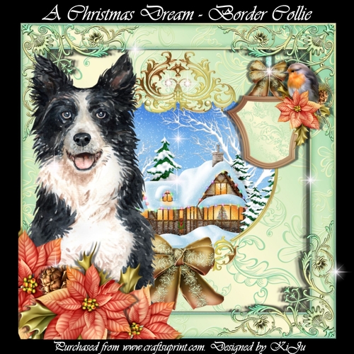 A Christmas Dream - Border Collie