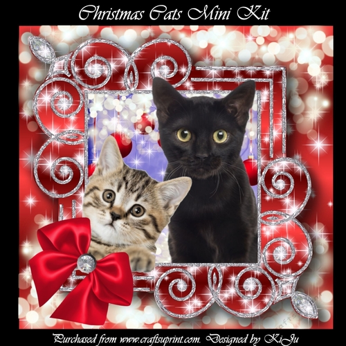 Christmas Cats
