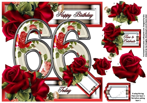 Special Ages Floral - 66 Today