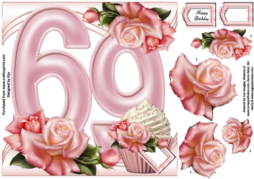 Special Birthday Roses & Cupcakes - Age 69