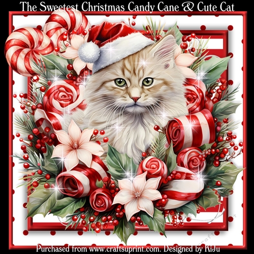The Sweetest Christmas Candy Cane & Cute Cat