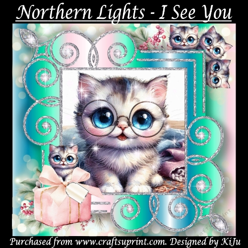 Northern Lights - I See You