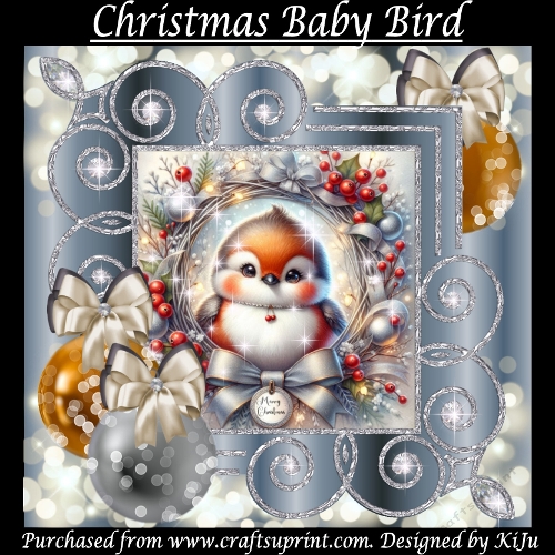 Christmas Baby Bird