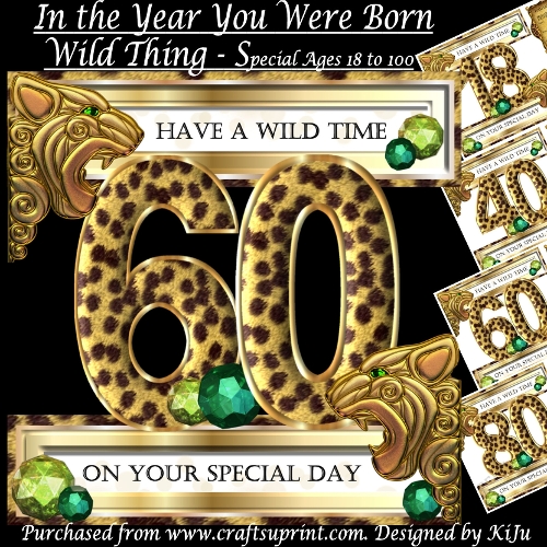 In the Year You were Born - Wild Thing - Special Ages