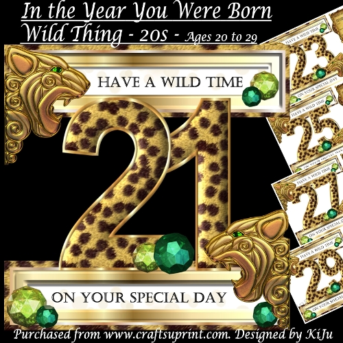In the Year You were Born - Wild Thing - 20s