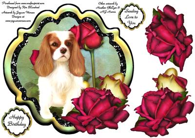 King Charles - Cute & Cuddly