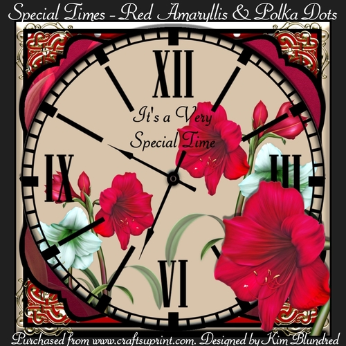Special Times - Red Amaryllis & Polka Dots
