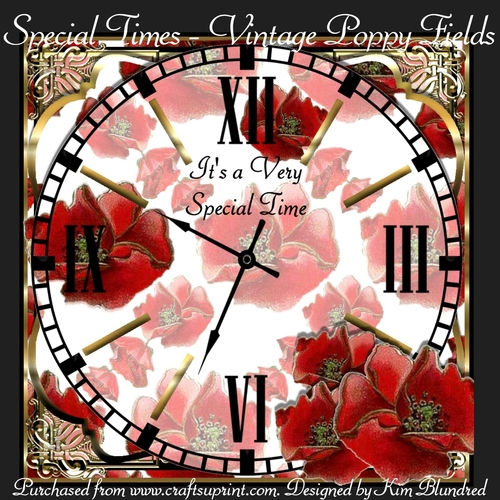 Special Times - Vintage Poppy Field