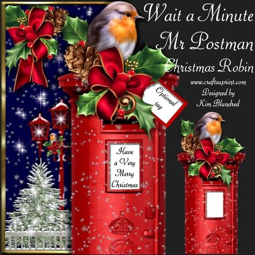Wait a Minute Mr Postman - Christmas Robin