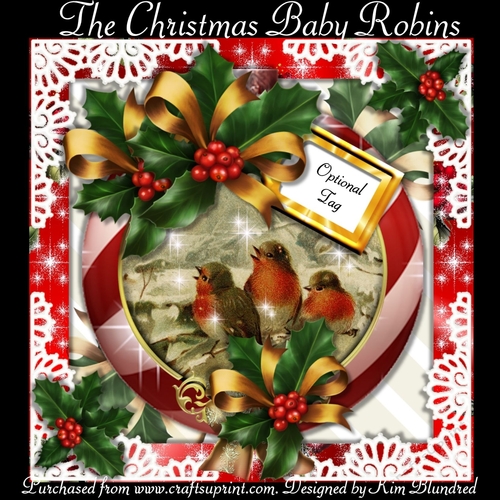 The Christmas Baby Robins - Ornate Bauble