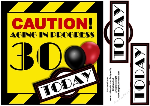 Aging in Progress Caution - 30th Birthday