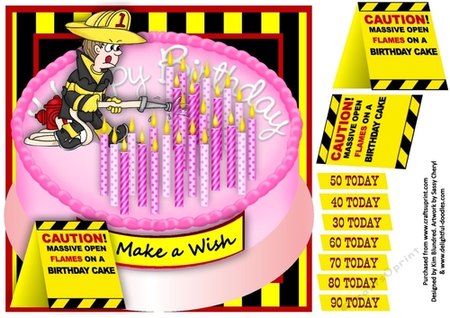 Call in the Professionals - Pink - Novelty card front
