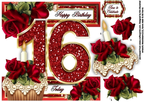 Special Ages Cupcakes and Sparkle - 16 Today