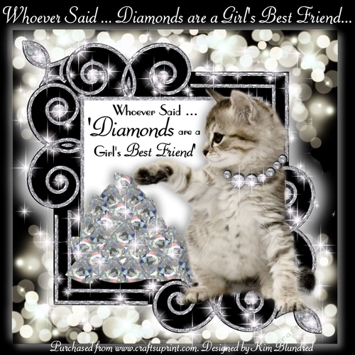 Whoever Said ... Diamonds are a Girls Best Friend ...