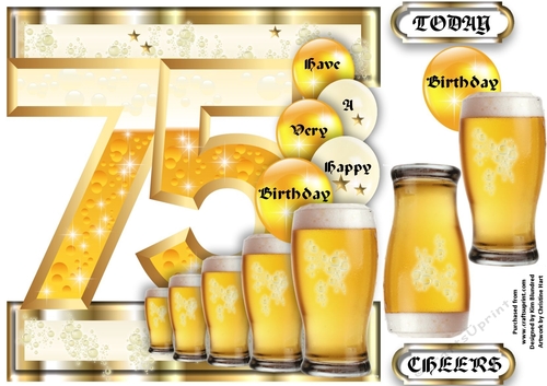 Birthday BEER Celebration - 75 Today - Single Sheet