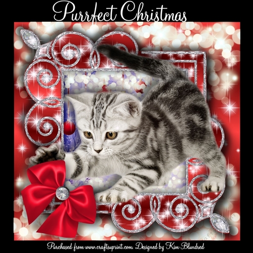 Purrfect Christmas
