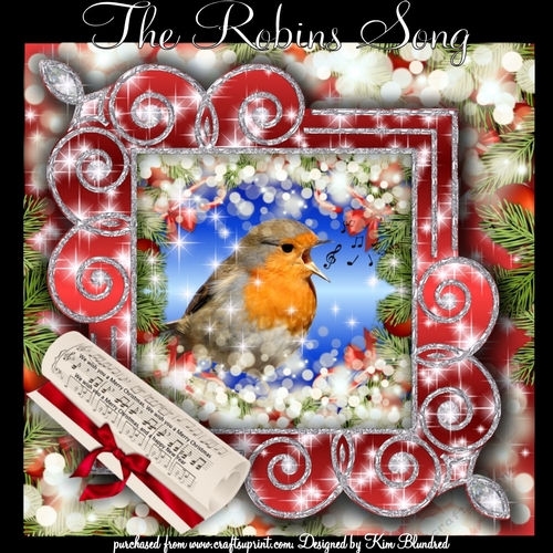 The Robins Song