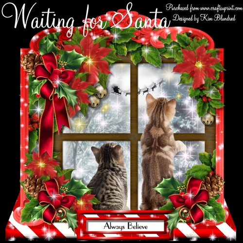 Waiting for Santa 