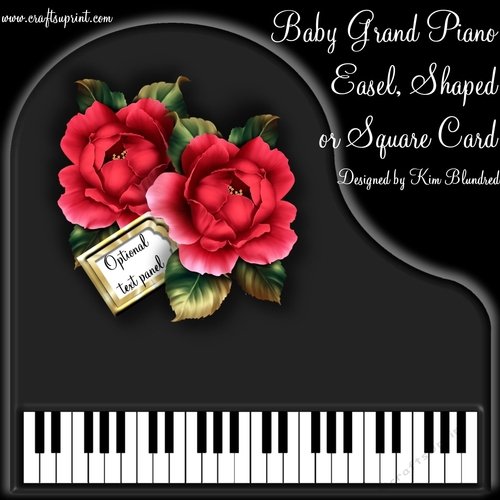 Baby Grand Piano - Black