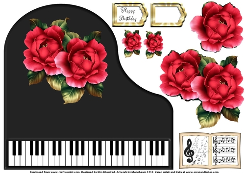 Baby Grand Piano - Black 1