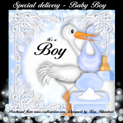 Special Delivery - Baby Boy
