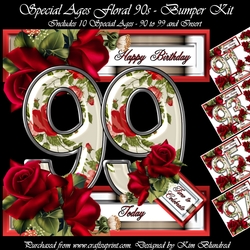 Special Ages Floral 90s - Bumper Kit