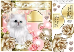 Dewdrops on Roses - Kitten Delight