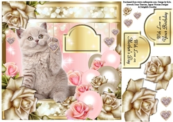 Dewdrops on Roses - Whiskers on Kittens