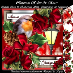 Christmas Robin & Roses