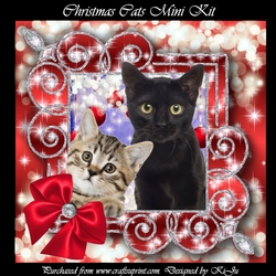 Christmas Cats