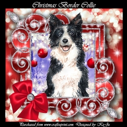 Christmas Border Collie